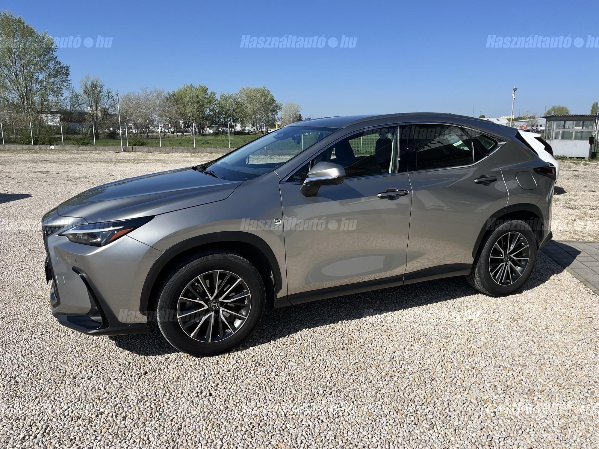 LEXUS NX 350h Elegance CVT
